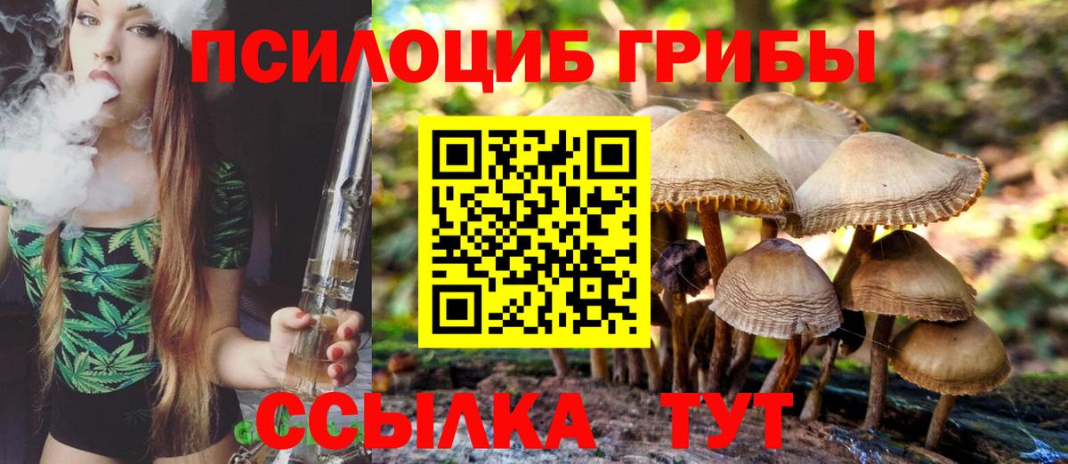 Псилоцибиновые грибы прущие грибы  как найти наркотики  Лесосибирск  Вход с VPN 